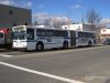 NYCBus1007Bx22_CastleHill_1-20-10JC.jpg
