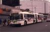 NYCBus1039onRtBX1atGrandConcourse_FordhamRd4-2-989EO.jpg