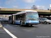 NYCBus1200IMG_2184.jpg
