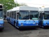 PANYNJ127CIMG8538copy.jpg