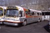 PelhamPkwy700_Garage_4-12-75.jpg