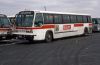Queens_Surface_258_3-1993_mb.jpg