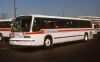 Queens_Surface_387_3-12-1994_mb.jpg