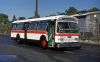 Queens_Surface_496_mb.jpg