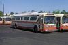 Queens_Transit_259_6-1981_mb.jpg