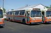 Queens_Transit_786_6-1981_mb.jpg