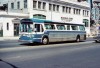 Tedesco626.jpg
