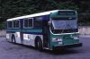 amg303.jpg