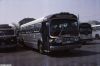 bonanza_6030f.JPG