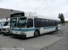 broomecounty209f.jpg