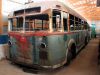 bus10.jpg