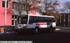 cata9901p.jpg