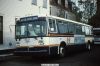 gatra_8321a.JPG