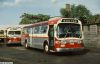 hudson_7406f.JPG