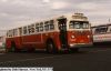 jamaica_buses_603f.JPG