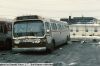 jamaica_buses_912f.JPG