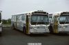 lrta3524.jpg