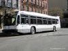 mtabus0055lowleft2IMG_2193.jpg