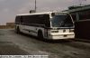 new_york_city_1626f.JPG