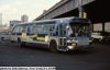 newyorkcity4811p.jpg