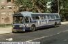newyorkcity8900p.jpg