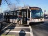 nycbus8006S66IMG_6773.jpg