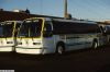 ripta_7818f_bh.JPG