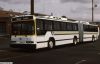 ripta_831f.JPG