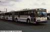 ripta_835f.JPG