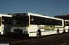 ripta_8514f.JPG