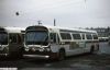 septa_197f.JPG