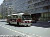 septa_4273f.jpg
