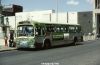 worcester_390f.JPG