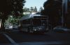 yolo_county_708.JPG