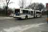 1106-dsc00615ic6.jpg