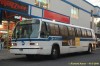 1175-dsc5142aty0.jpg