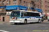 5122-dsc5387avb2.jpg