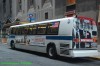 5185r-dsc4451ayg0.jpg