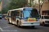 5199-dsc0590aawl7.jpg