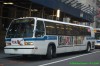 5201-dsc4723auf8.jpg