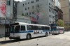 5945-dsc0215qk0.jpg
