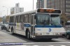 5950-dsc5582auc6.jpg