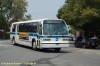 5996-dsc2811aqu3.jpg
