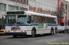 6182-dsc7513a.jpg