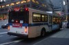 6369-dsc03146pl1.jpg