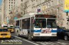 6674-dsc7386a.jpg