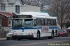 7223-dsc7423a.jpg