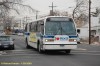 8157-dsc7238a.jpg