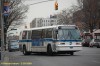 9244-dsc7517a.jpg