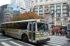 DSC_00380037.JPG